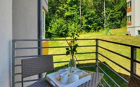 Stonowane i Eleganckie Apartamenty Sun Seasons 24 w Świeradowie Zdroju by Noclegi Renters